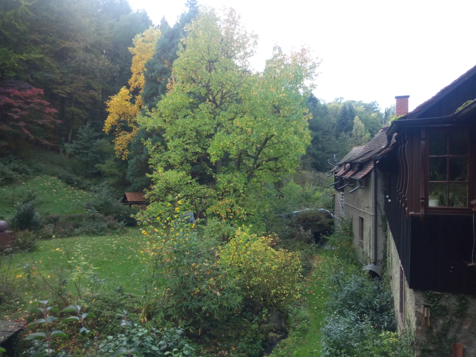 Bachgeflüster  2,5 Zimmer mit Terrasse direkt am Bach, maximal für 2 Erw.+2Kinder, Grillplatz,
