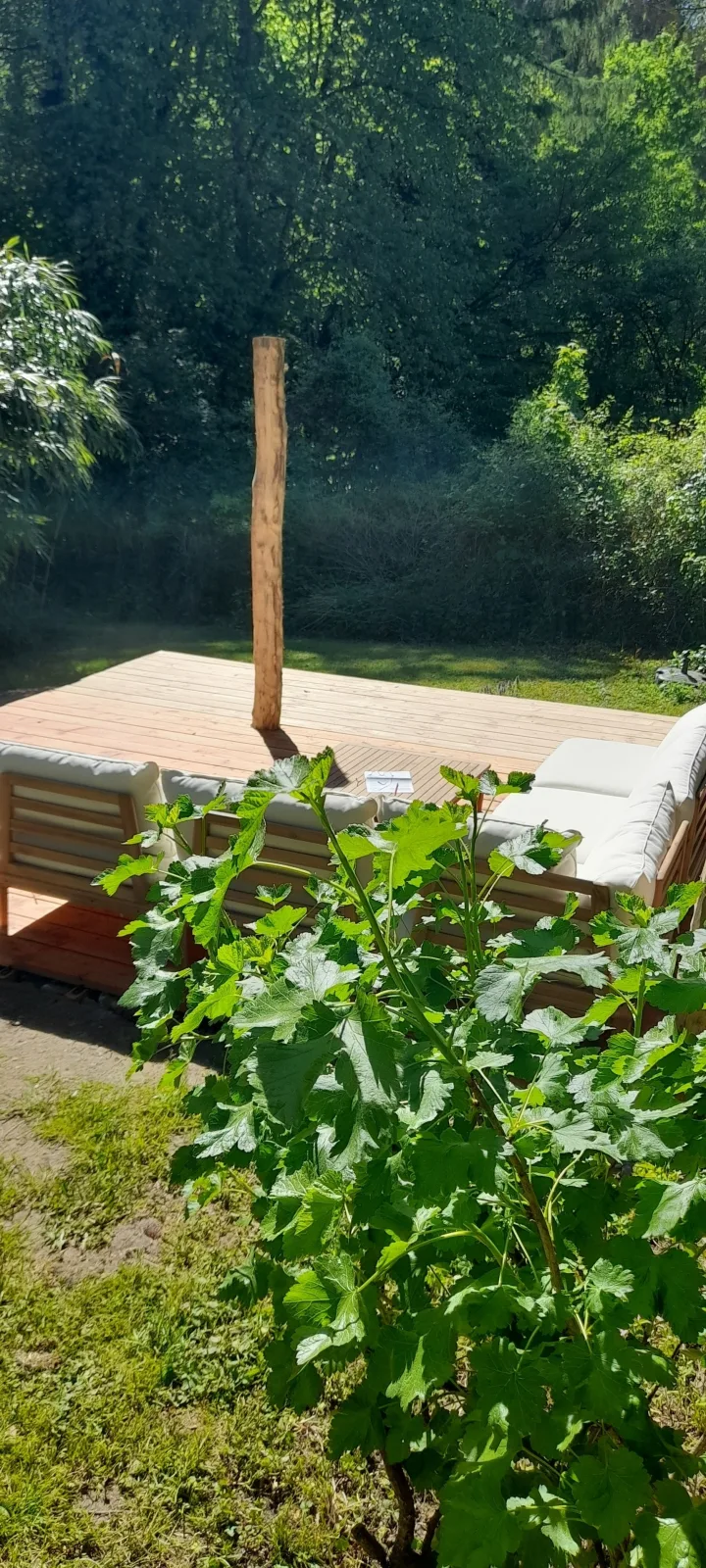 Bachgeflüster  2,5 Zimmer mit Terrasse direkt am Bach, maximal für 2 Erw.+2Kinder, Grillplatz,