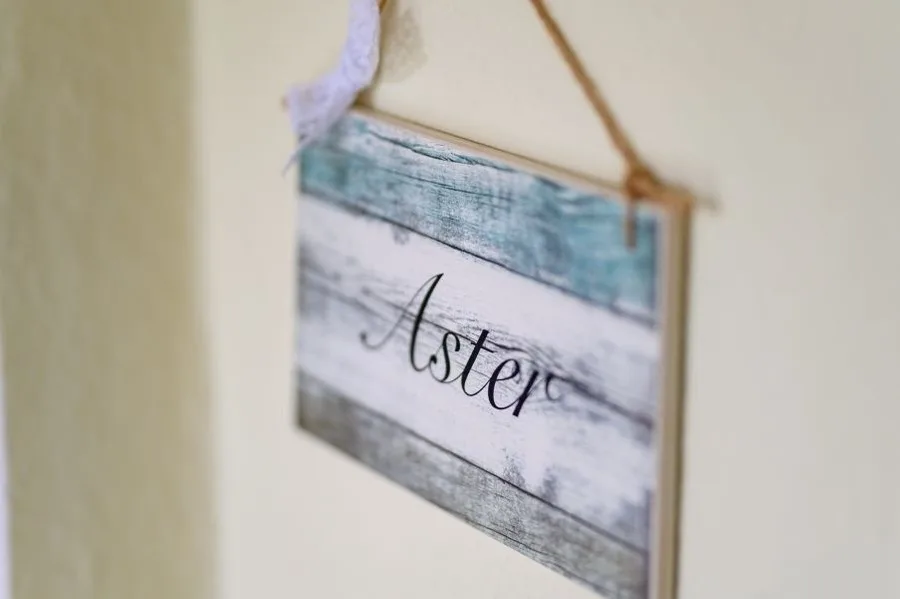 Aster