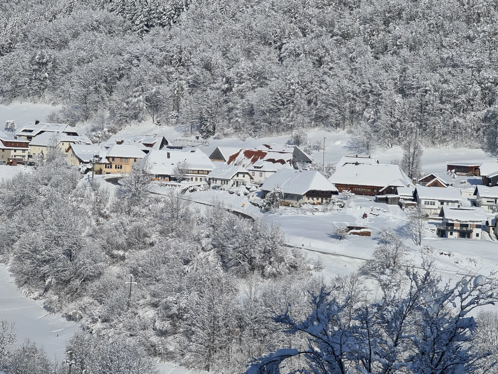 Haus Föhrenbach