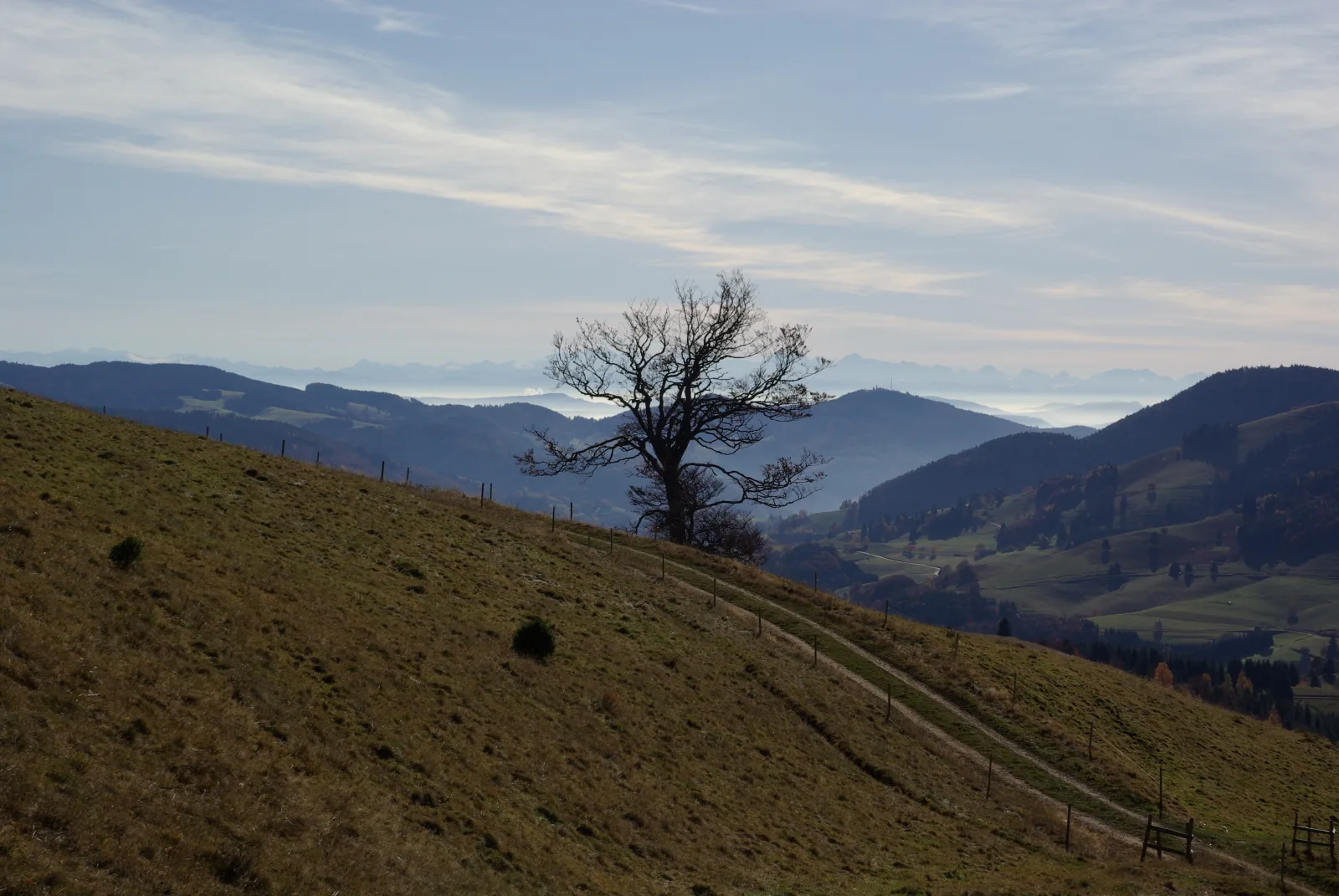 Haus Föhrenbach