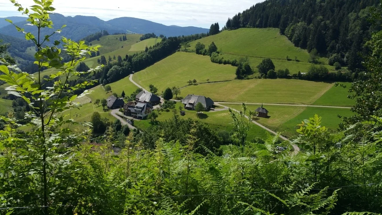 Haus Föhrenbach