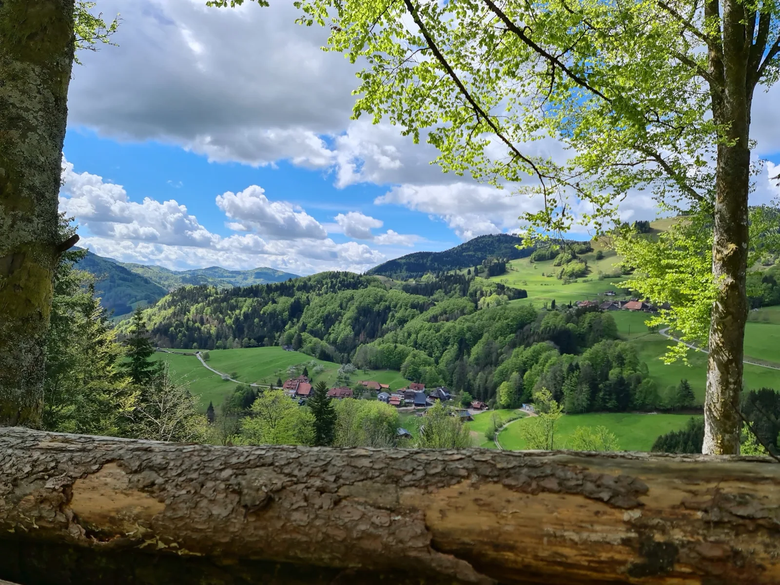 Haus Föhrenbach
