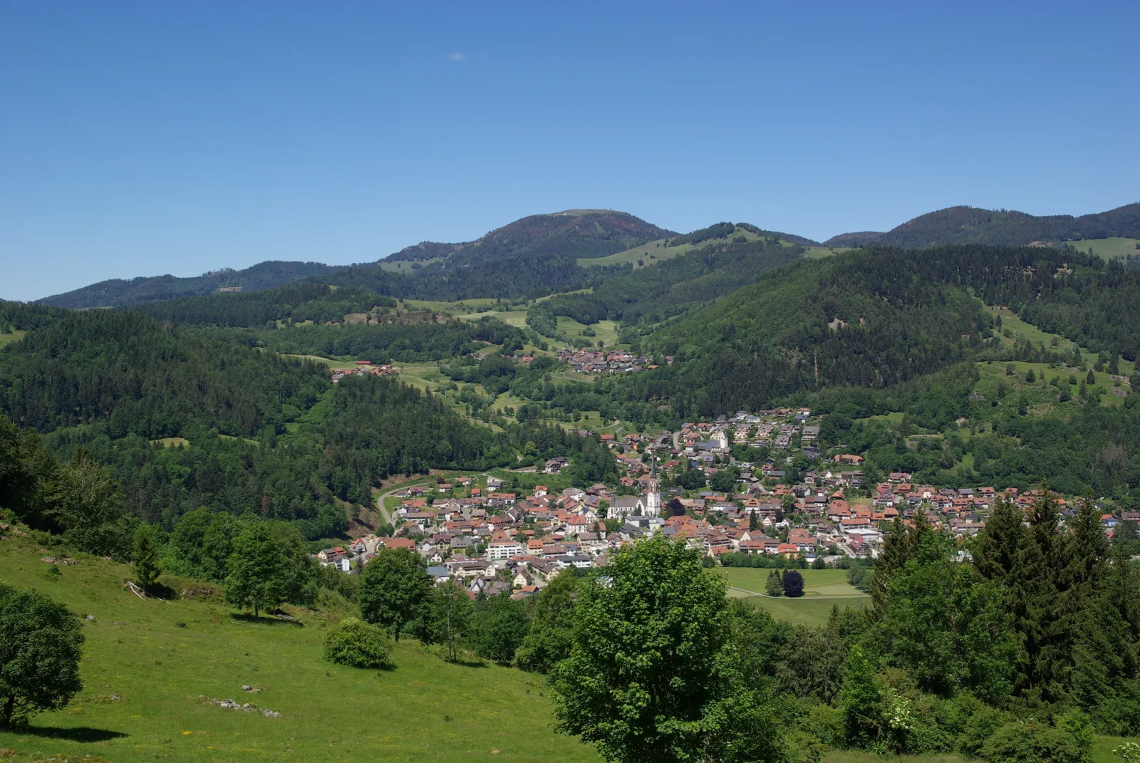 Haus Föhrenbach