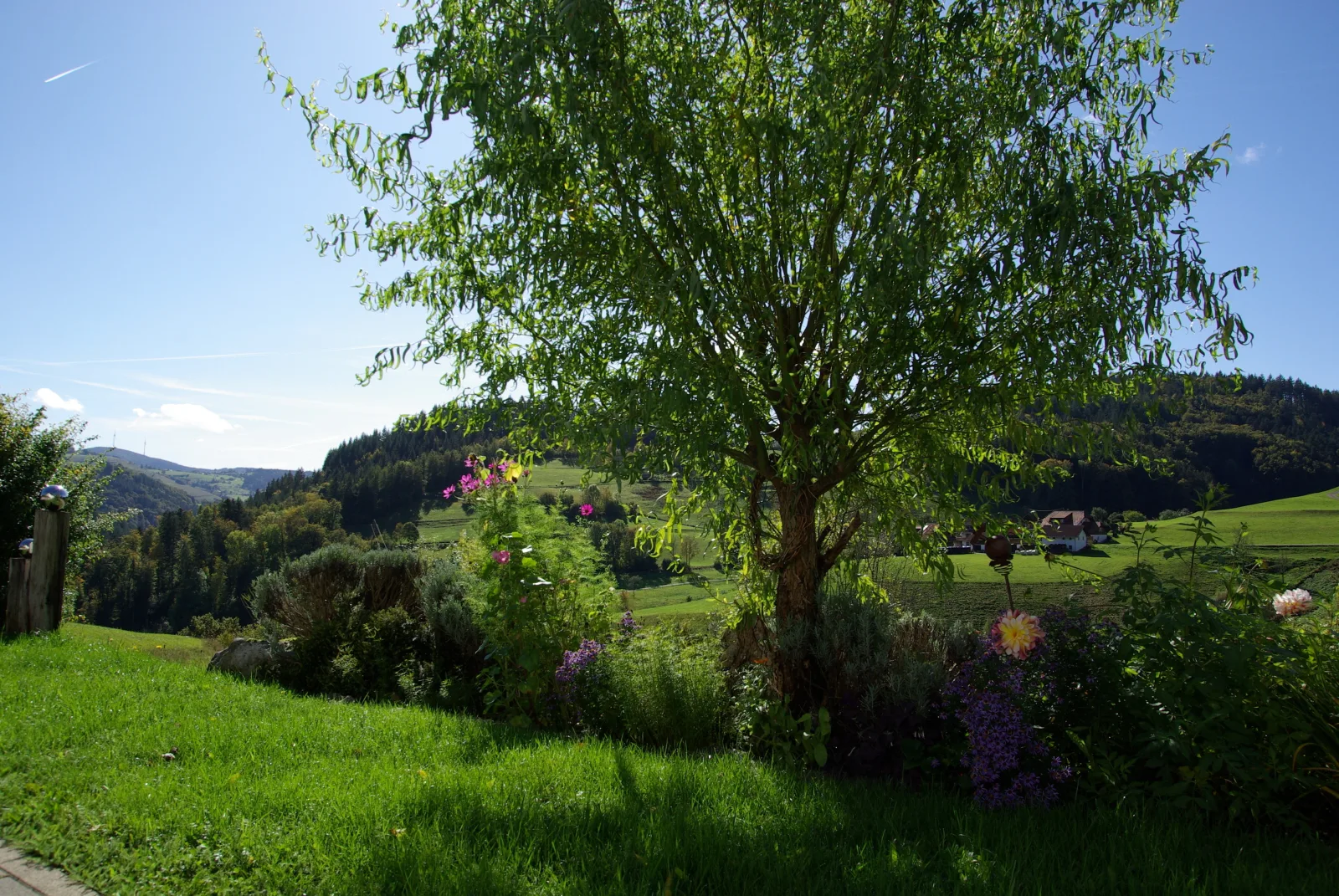 Haus Föhrenbach