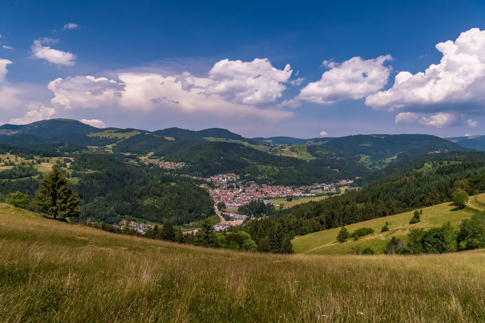 Haus Föhrenbach