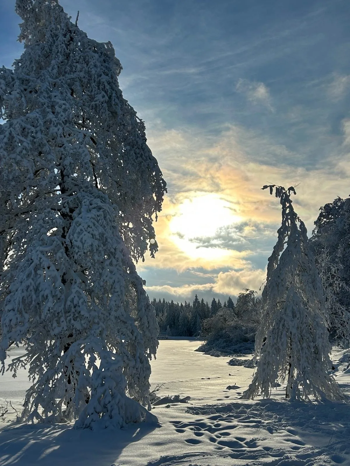 Hahnenkleer Hütte Traumzeit