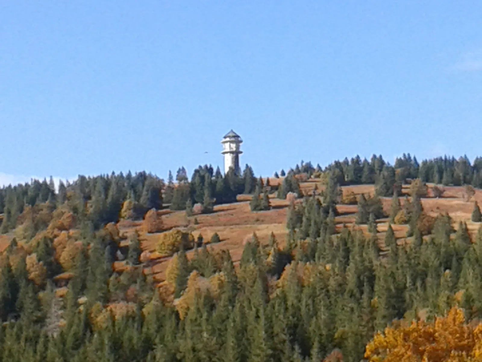Fewo Feldbergturmblick