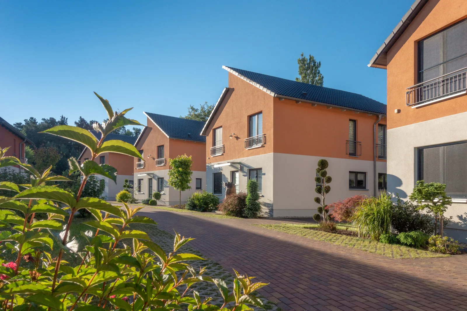 Ferienhaus Allergiker