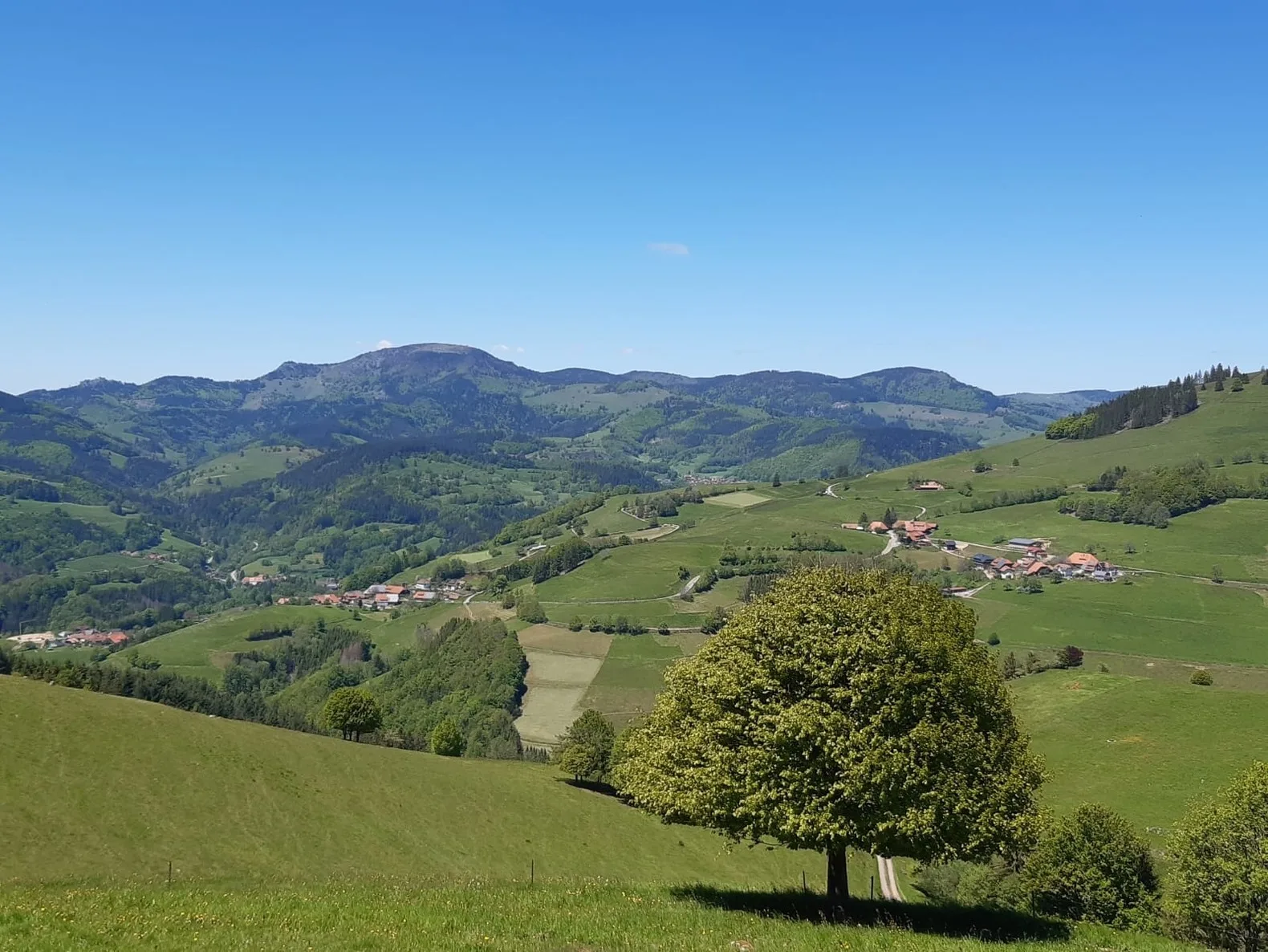 Ferienwohnung Heimatliebe