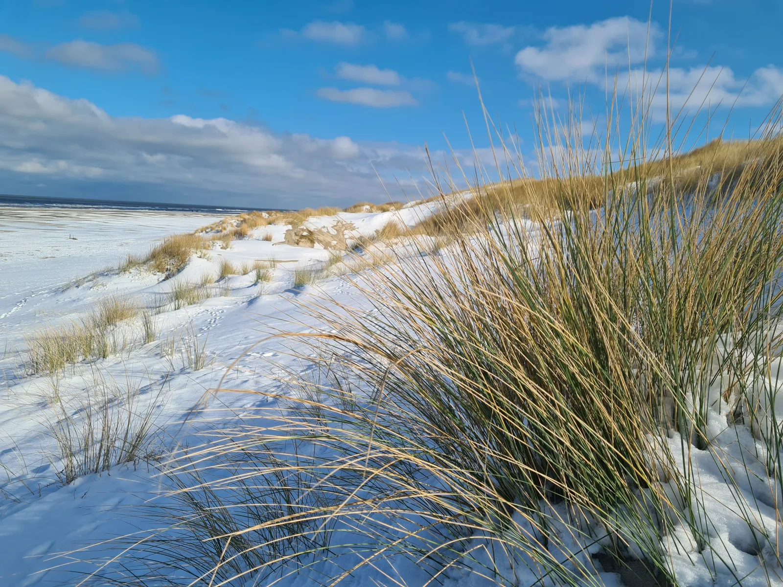 Strandburg Juist Apartment 208 - Schwimmbad und Sauna kostenfrei