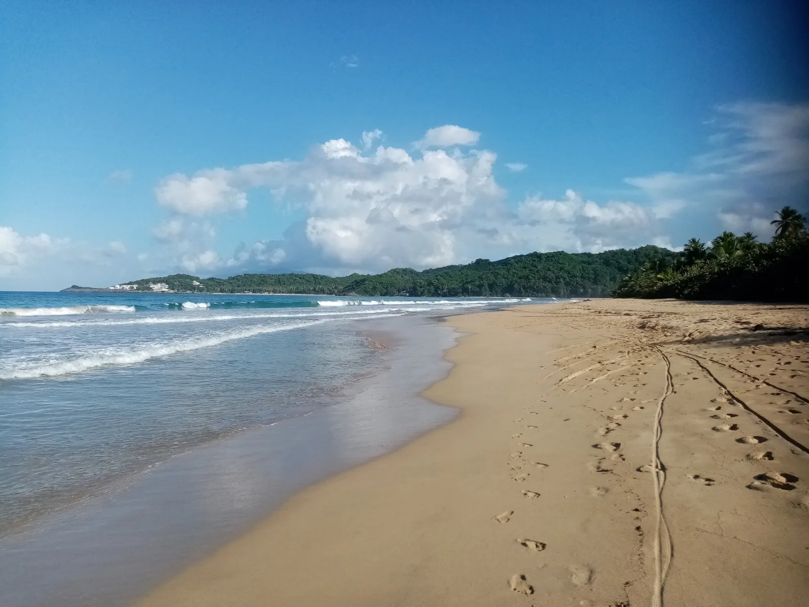 Bungalow de Ballenas