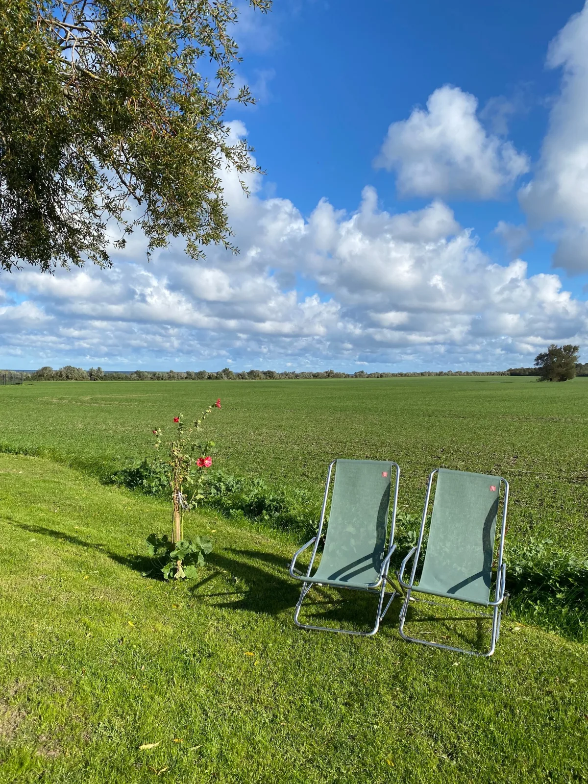 Seeblick 1a OG