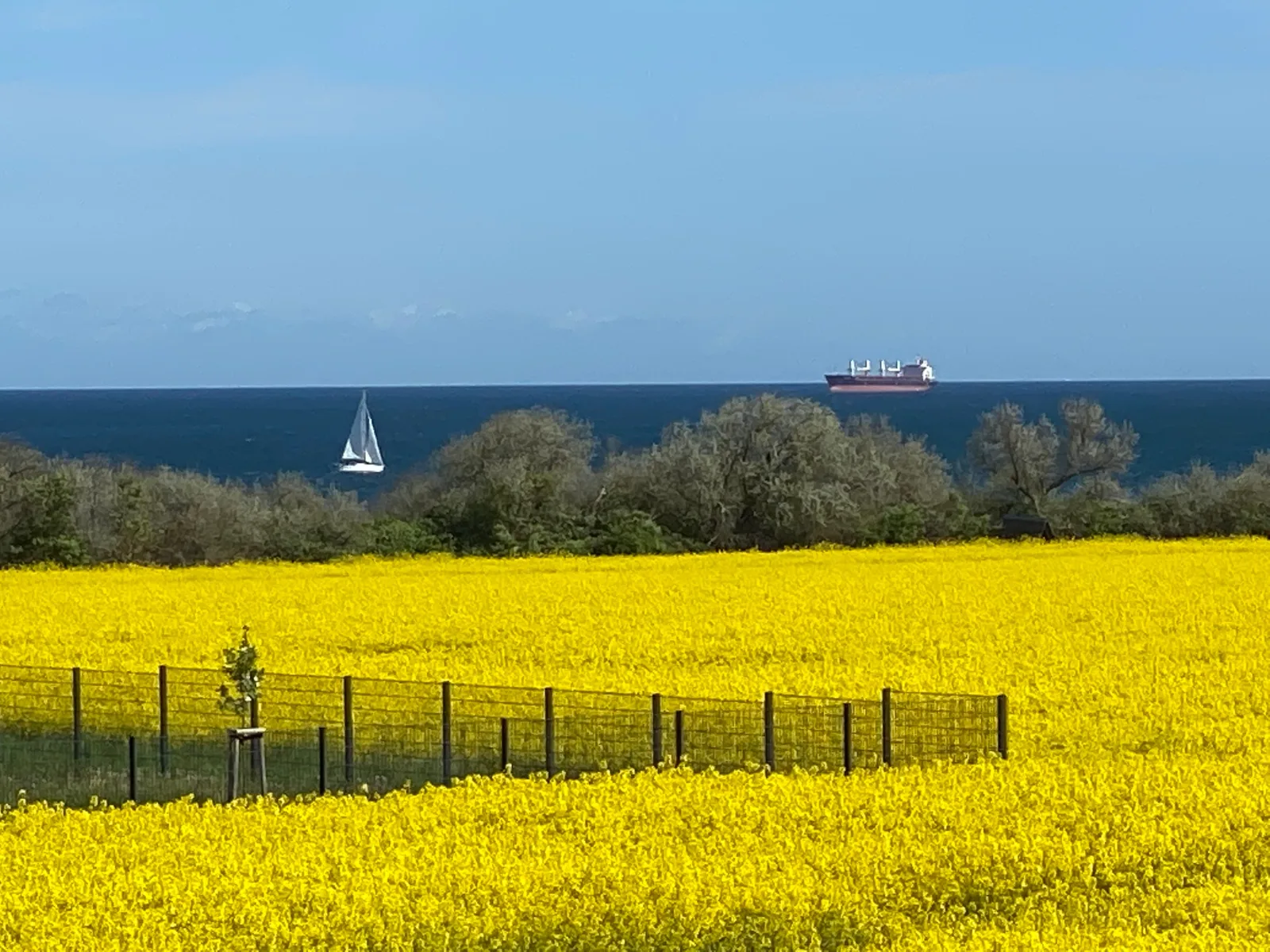 Seeblick 1a OG