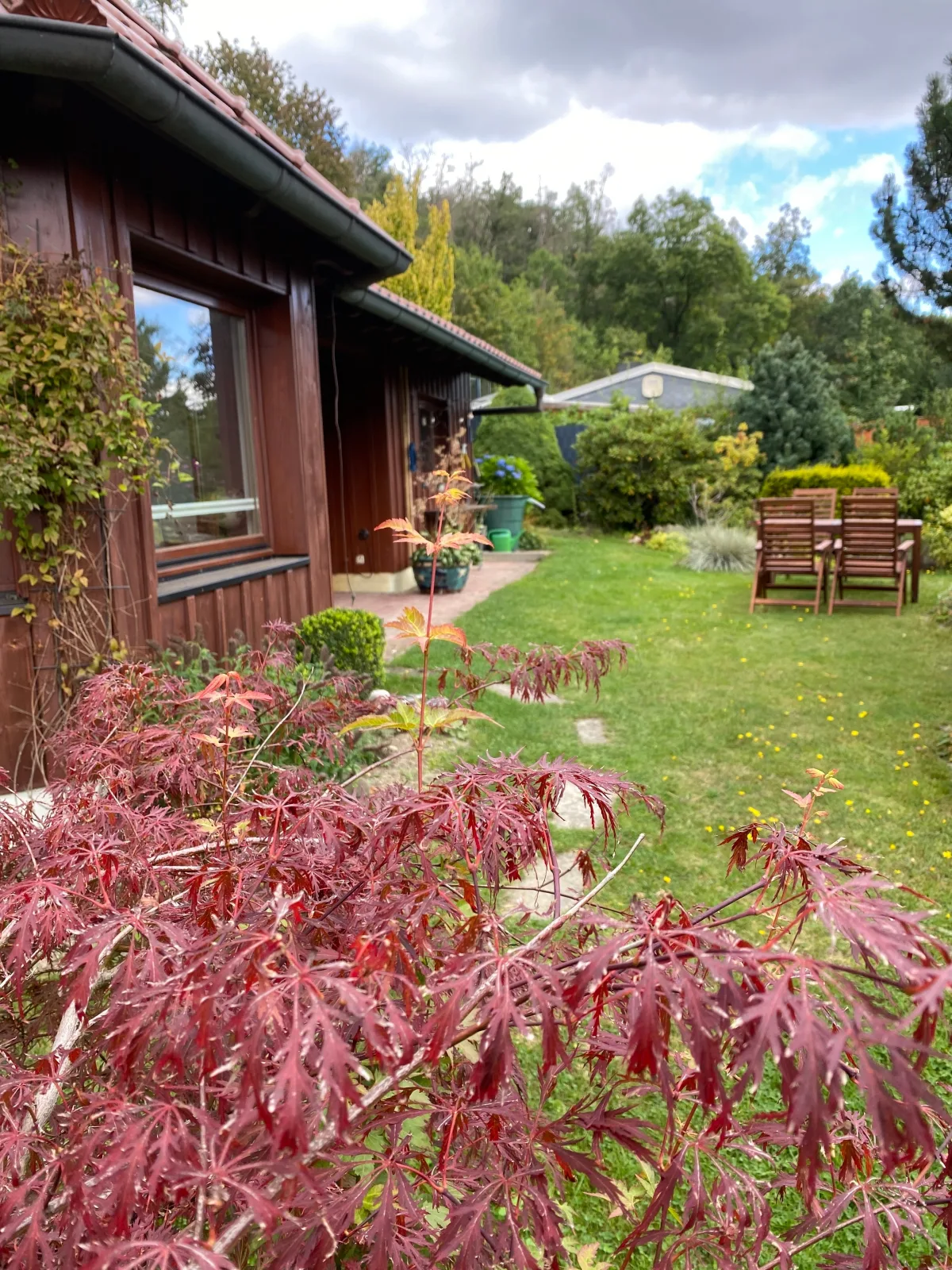 Lodge am Wald *Terrasse *Garten *Grill *ruhige Lage *Wandern