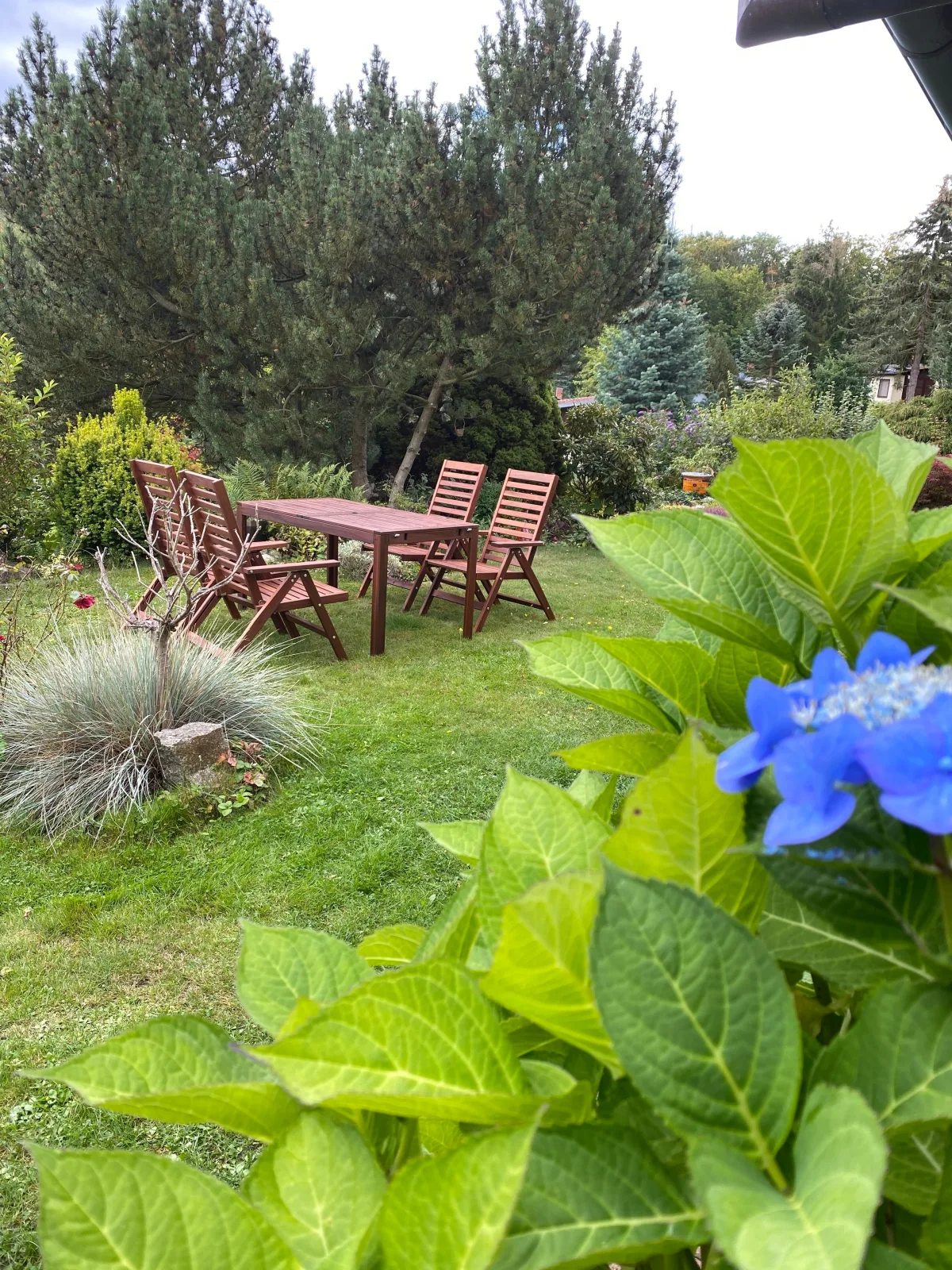 Lodge am Wald *Terrasse *Garten *Grill *ruhige Lage *Wandern