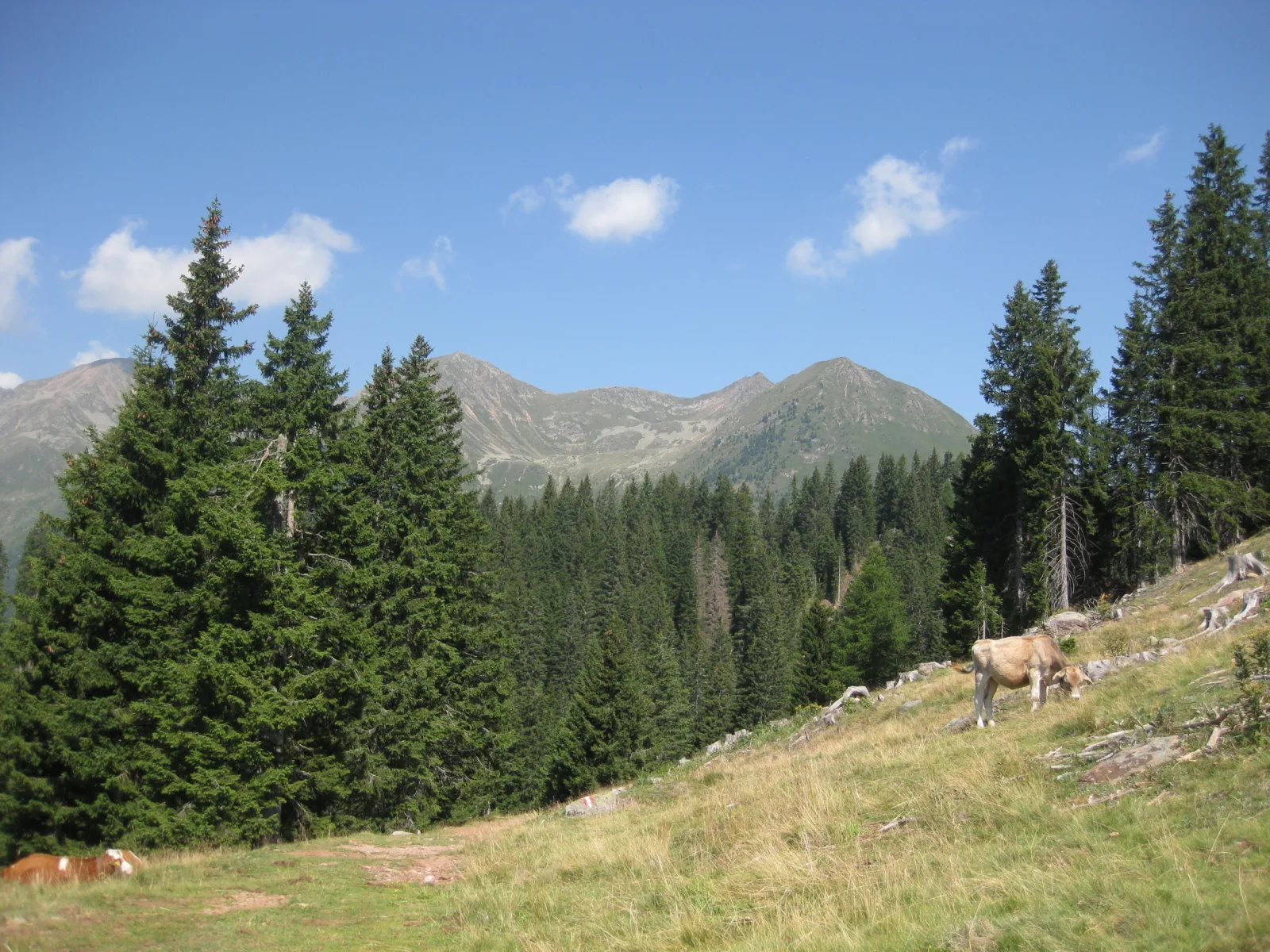 Fewo Windbichl