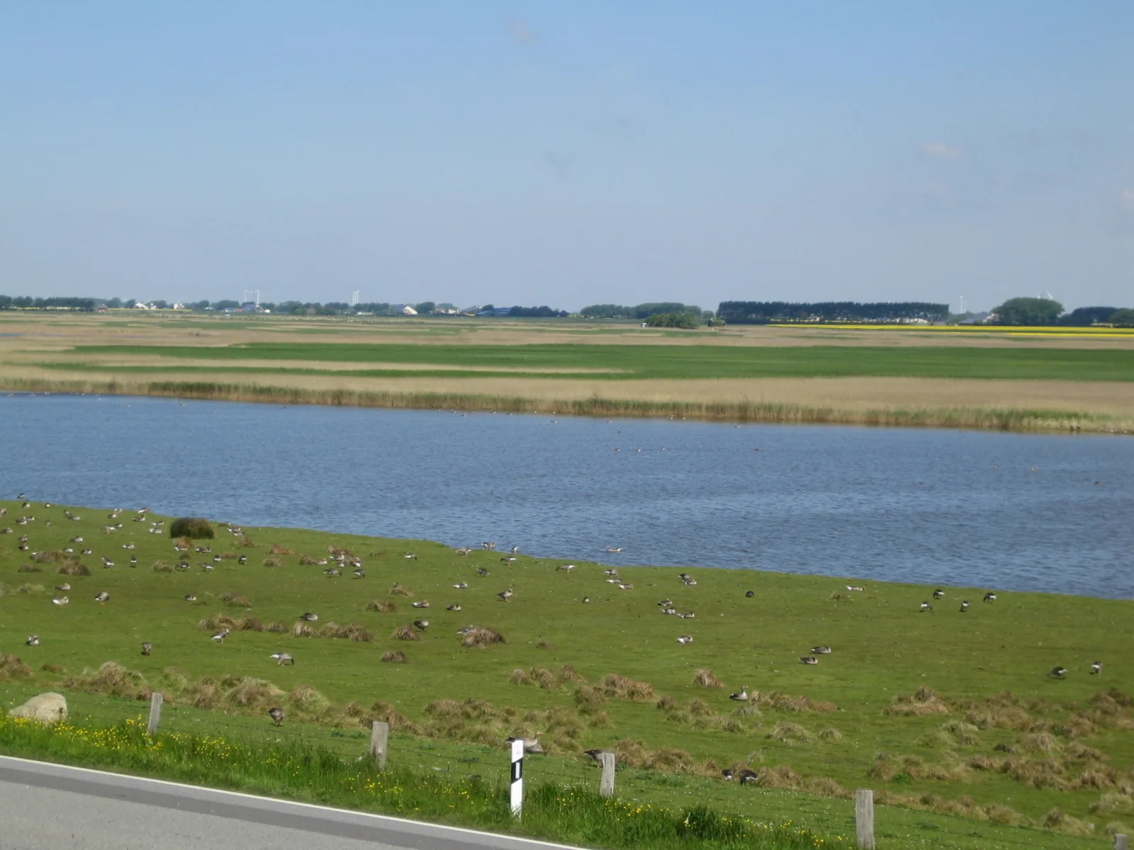 Haus Halligblick, Ferienwohnungen am Wattenmeer, Whg. Langenneß