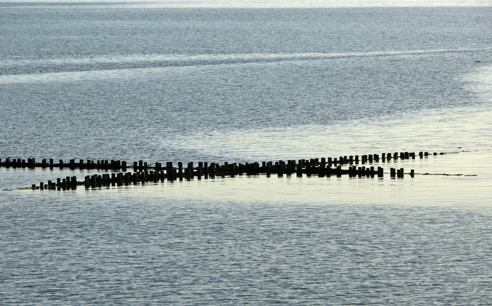 Haus Halligblick, Ferienwohnungen am Wattenmeer, Whg. Langenneß