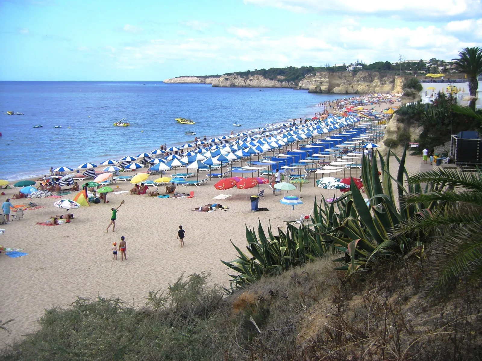 Studio Vista Mar
