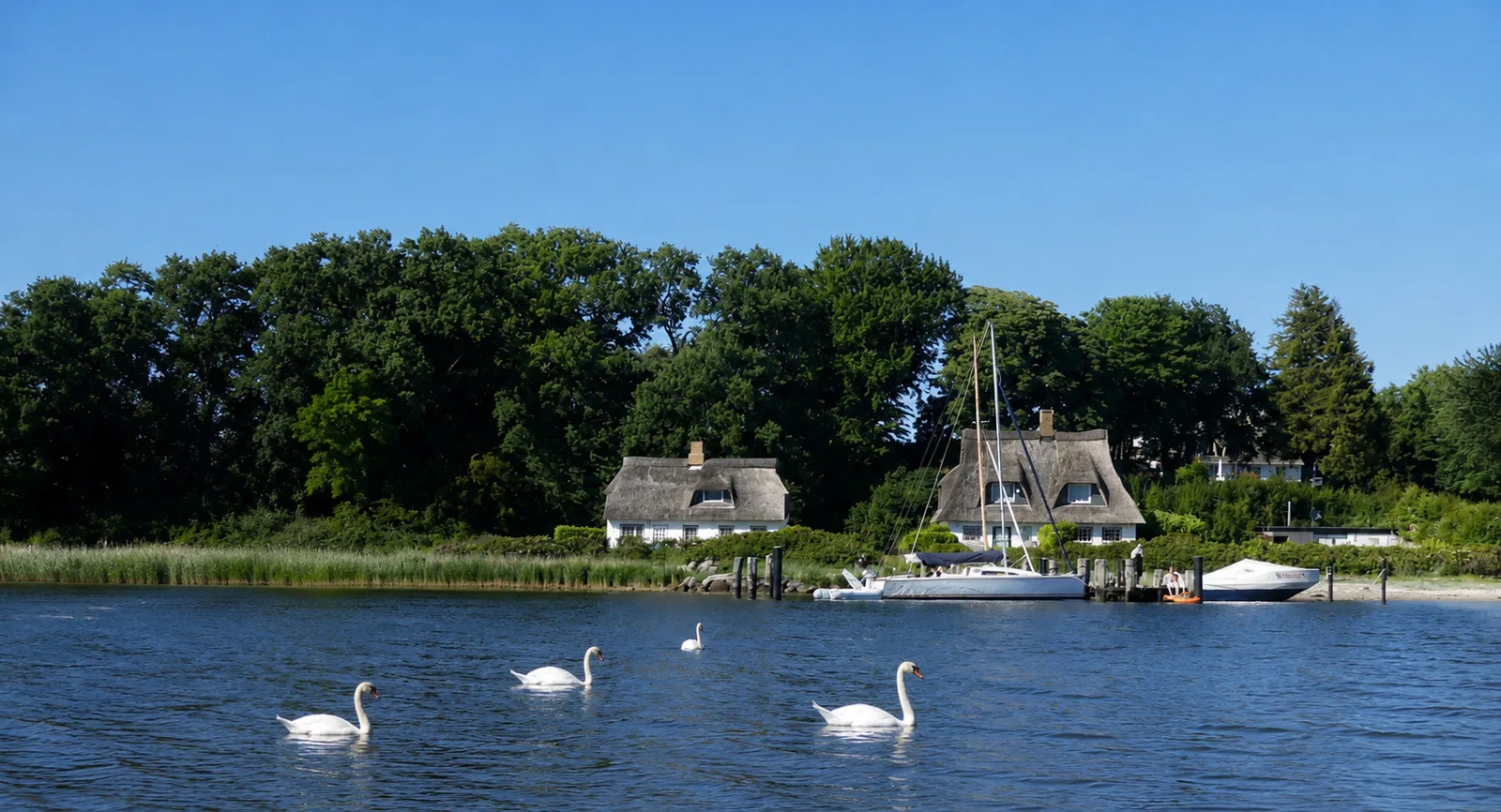 Schleibungalow Nr.15 zw. Ostsee und Schlei