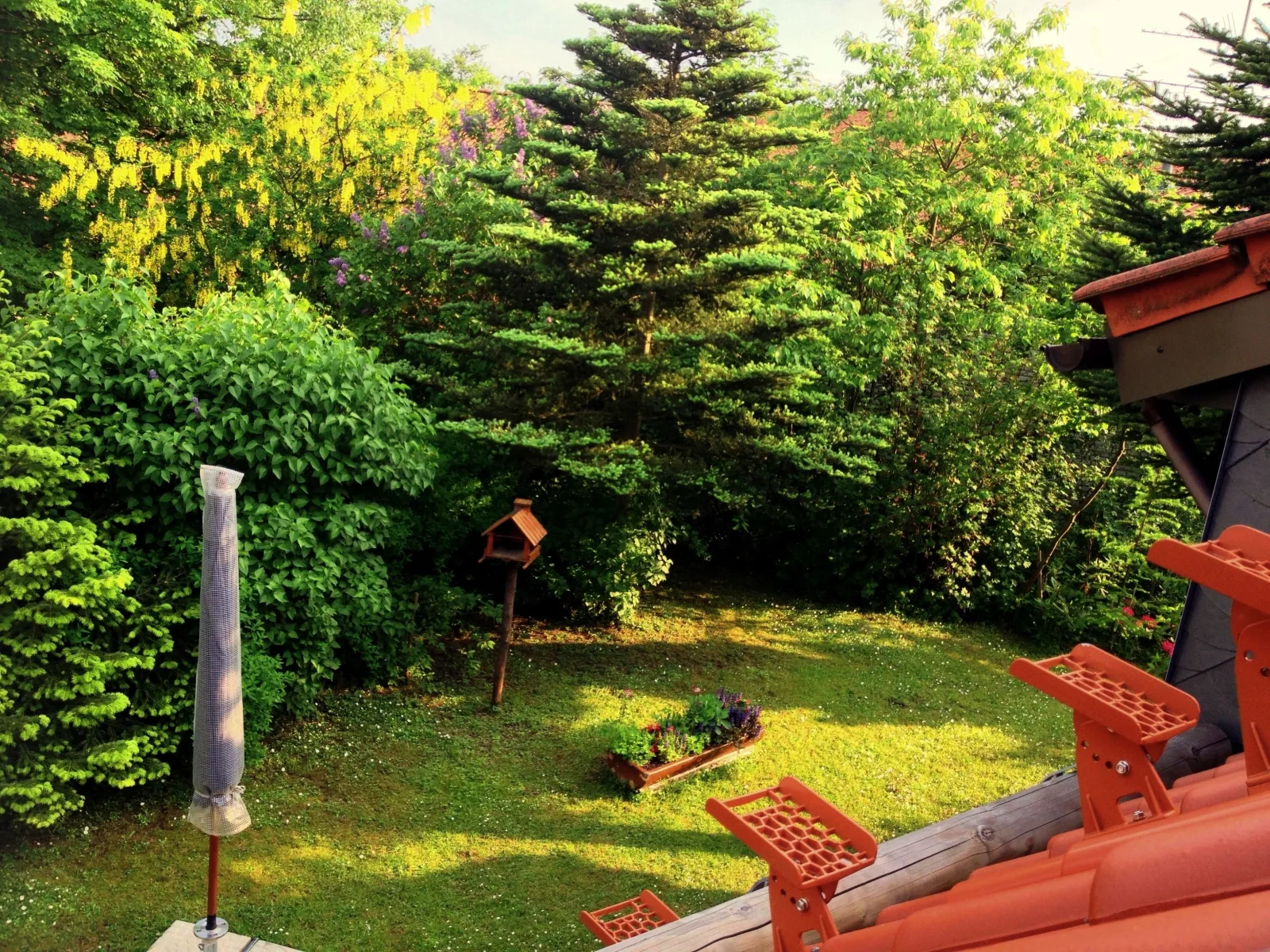 Ferienhaus Sequoia