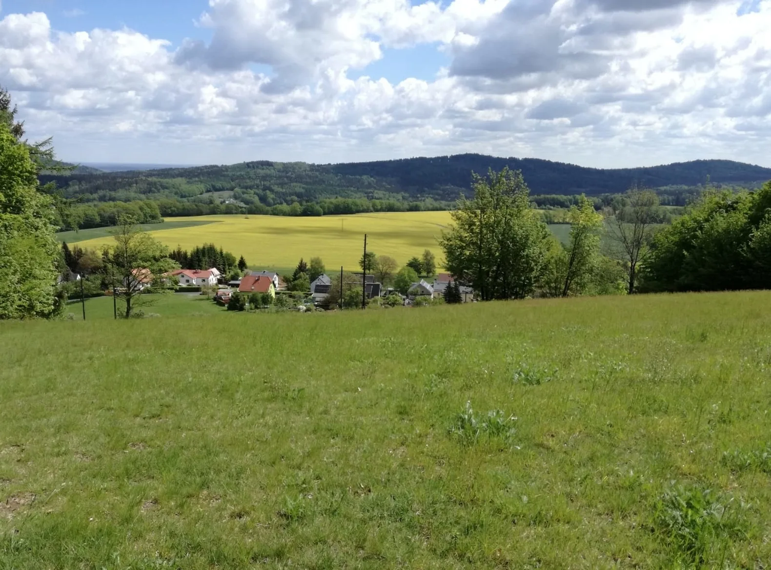 FeWo Magnolie in Steina bei Pulsnitz
