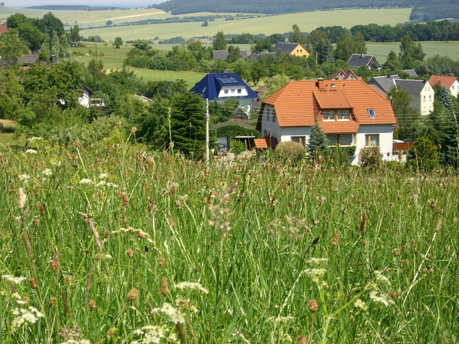 FeWo Magnolie in Steina bei Pulsnitz
