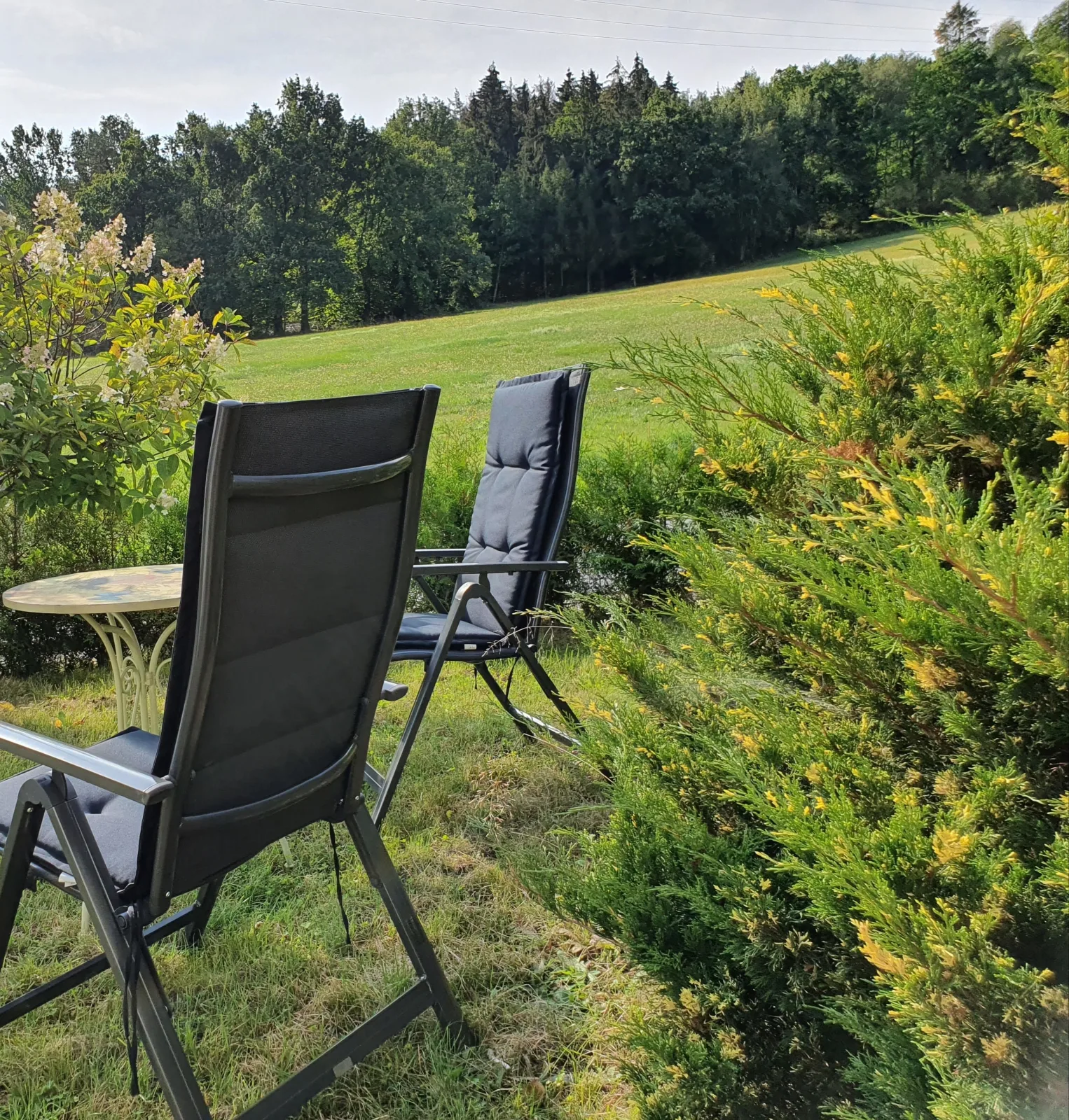 FeWo Magnolie in Steina bei Pulsnitz