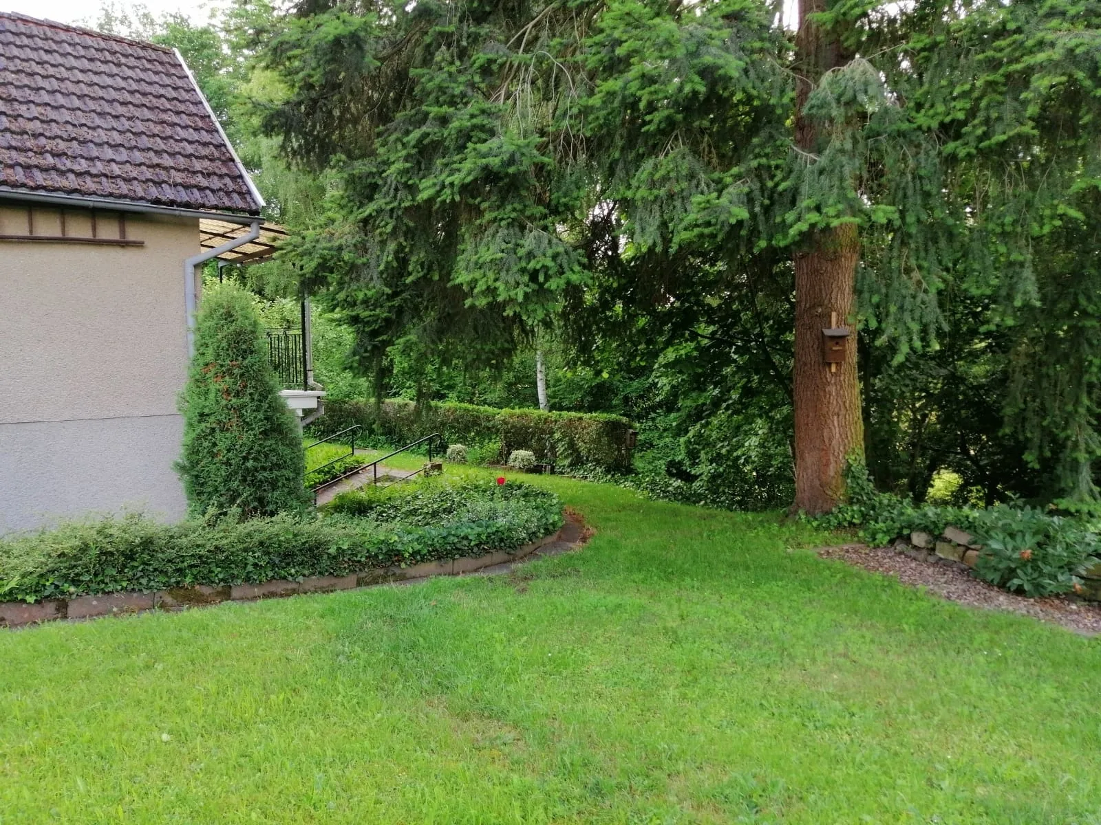 Hasenecke