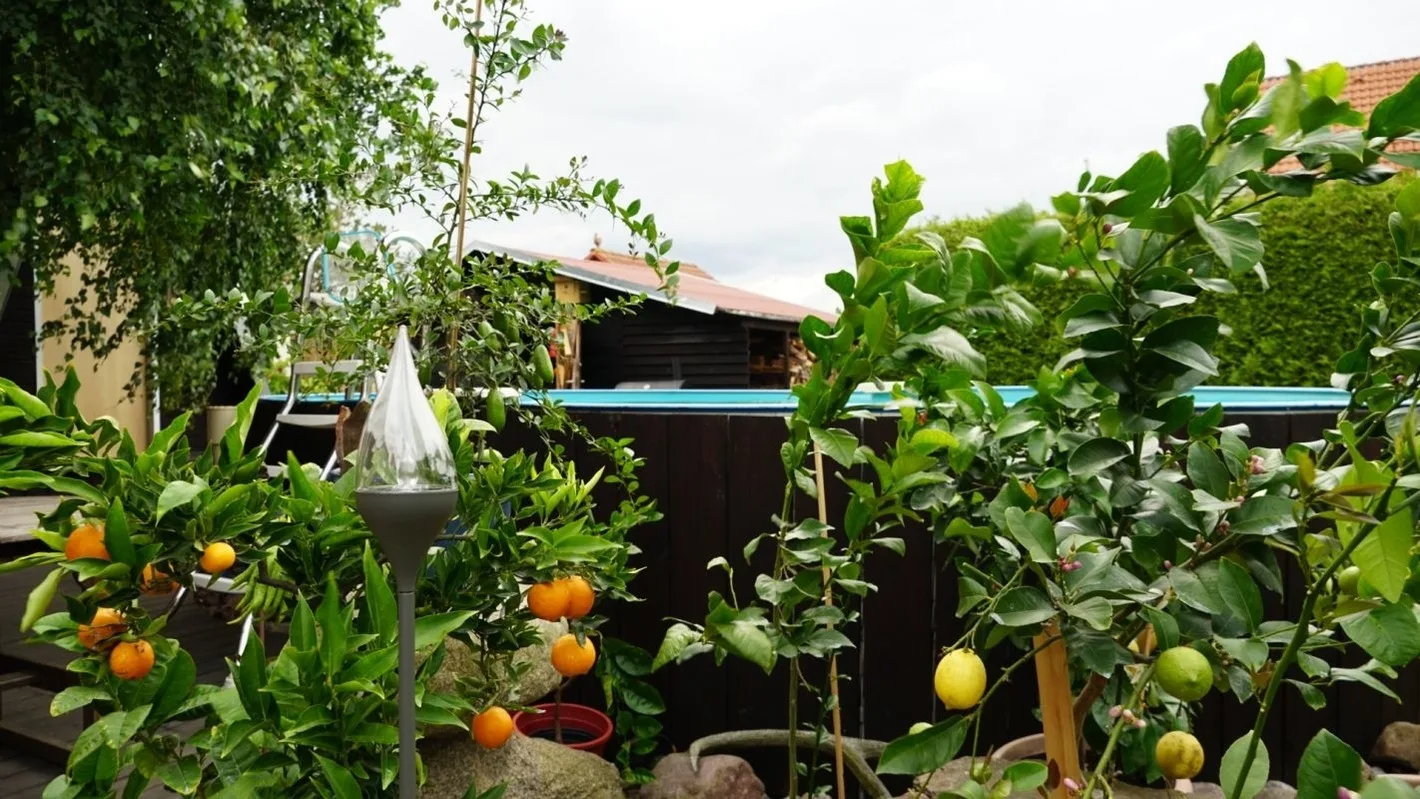 Pension Limone Ferienwohnung 2