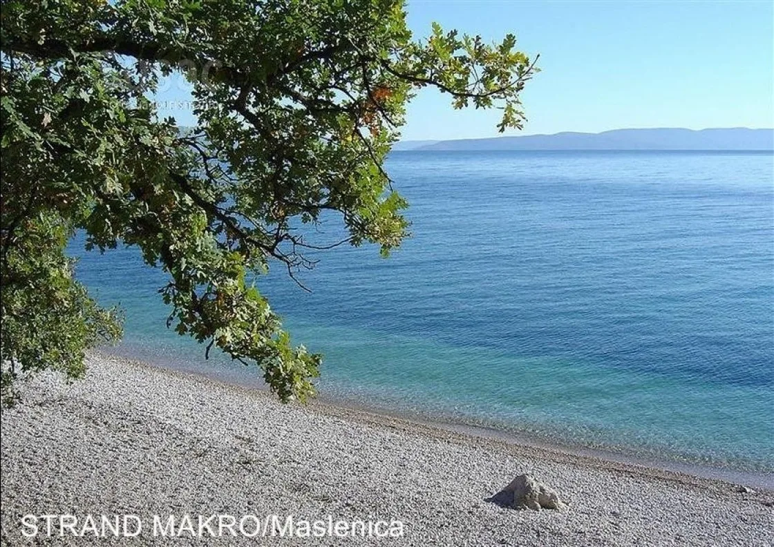 2.OG PAG /Finca