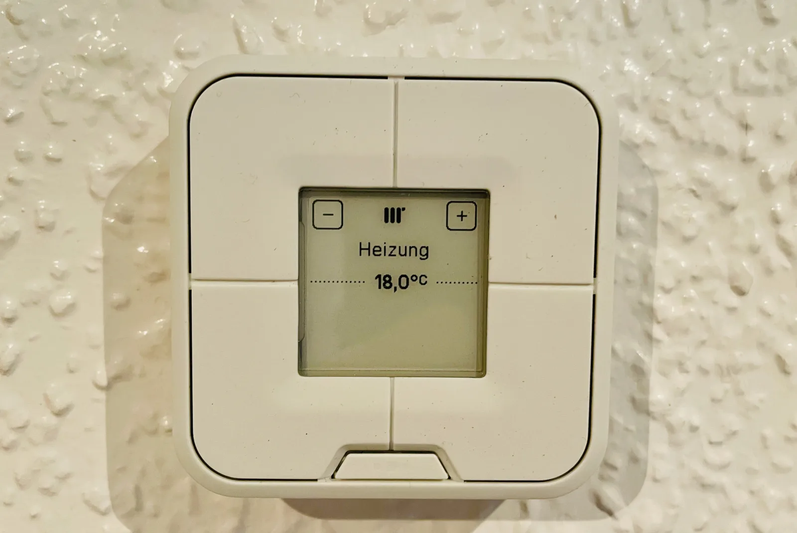 Steinhuder Meer Ferienhaus Schwalbennest
