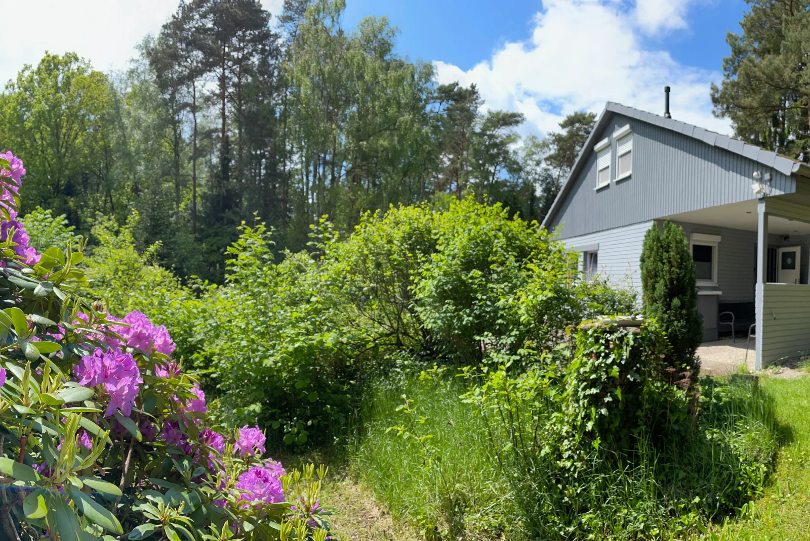 Steinhuder Meer Ferienhaus Schwalbennest