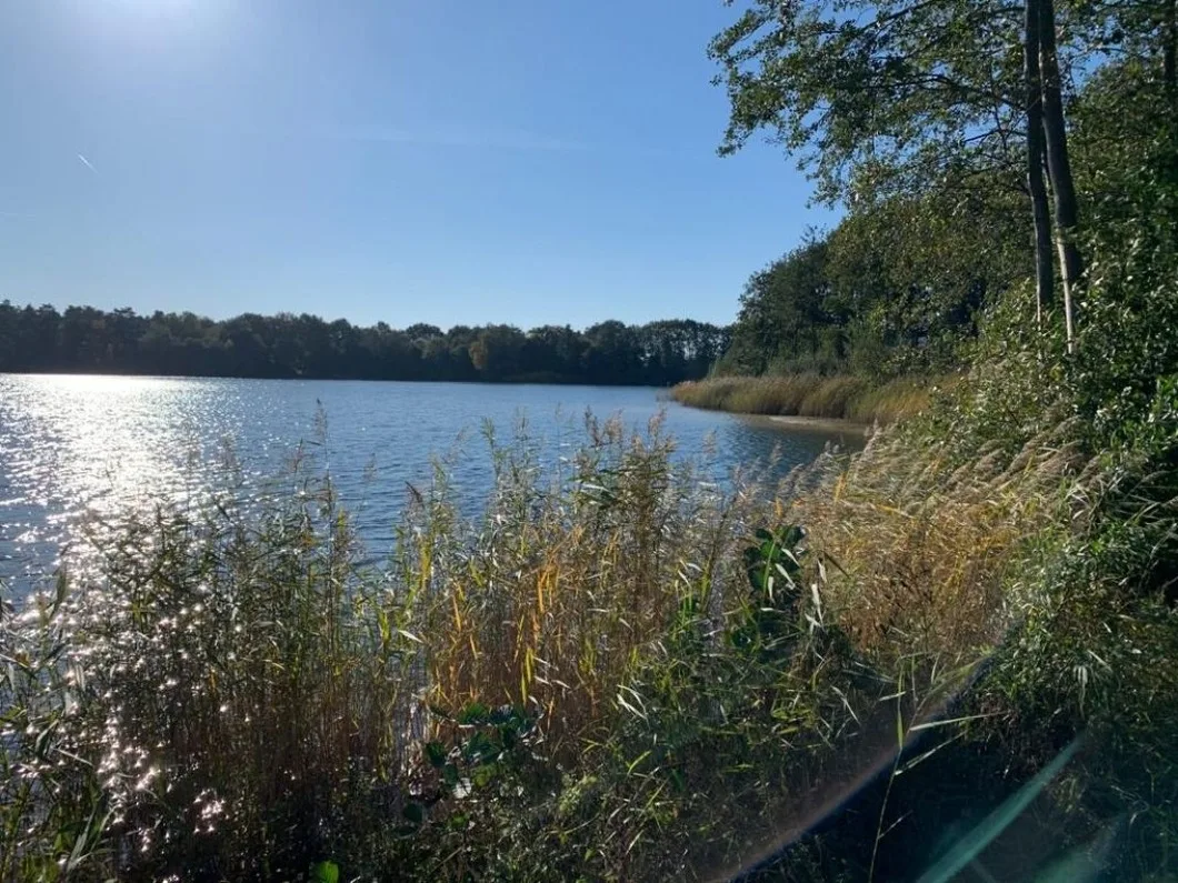 Ferienwohnung Sonnenwinkel am Harkebrügger See mit Sauna
