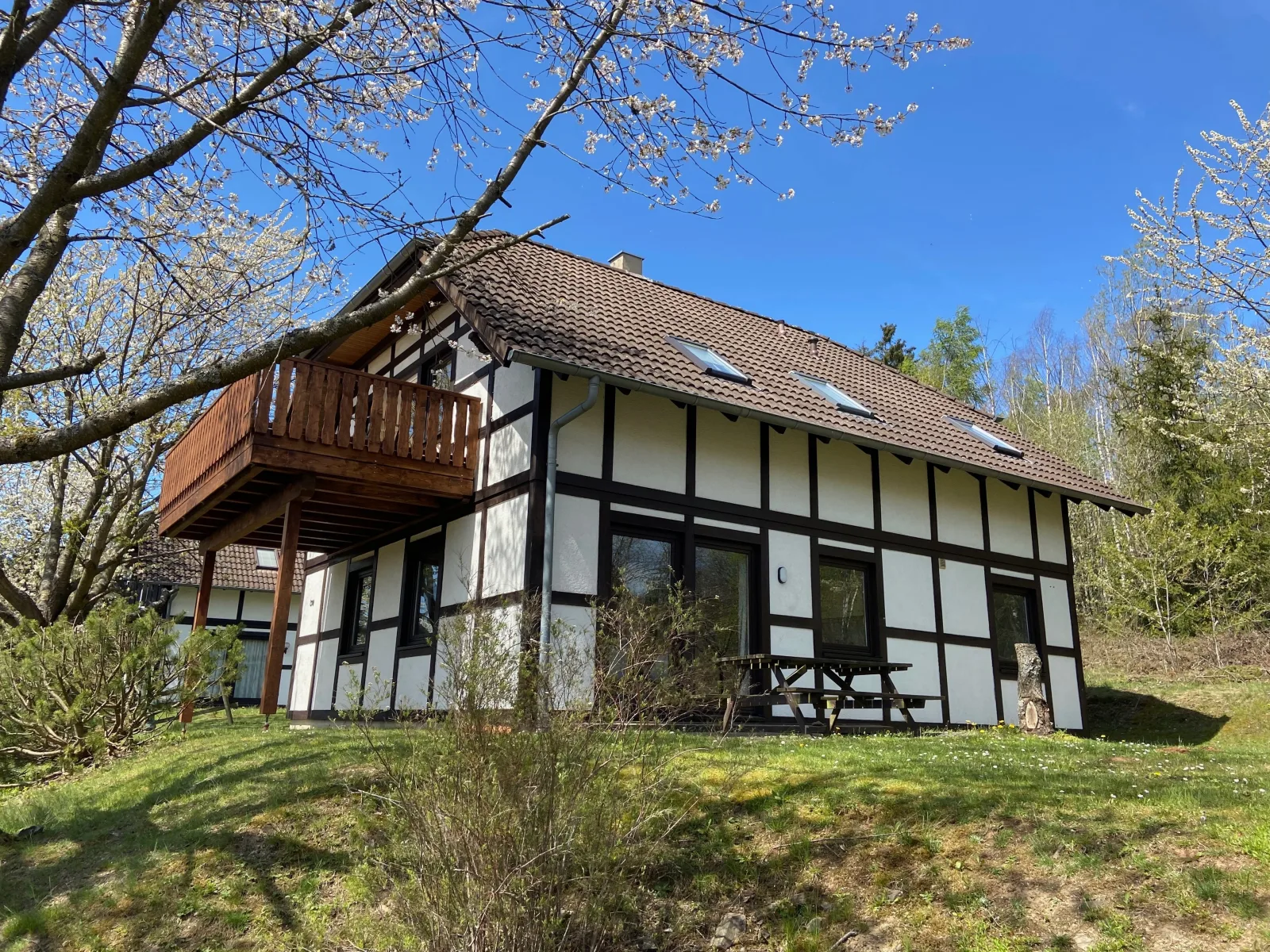 Ferienwohnung Mimo direkt am Waldrand