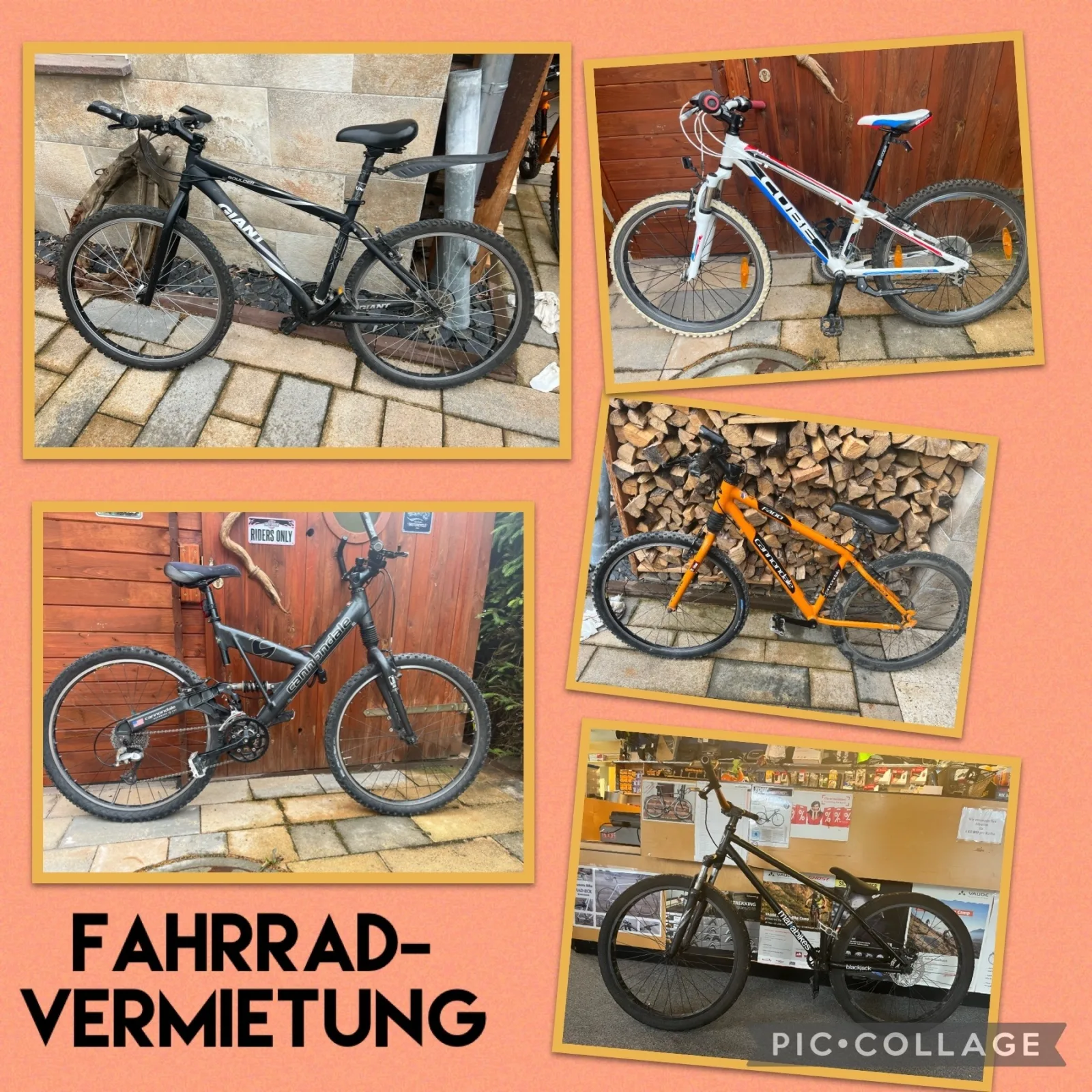 Ferienwohnung  und  Kunstgalerie