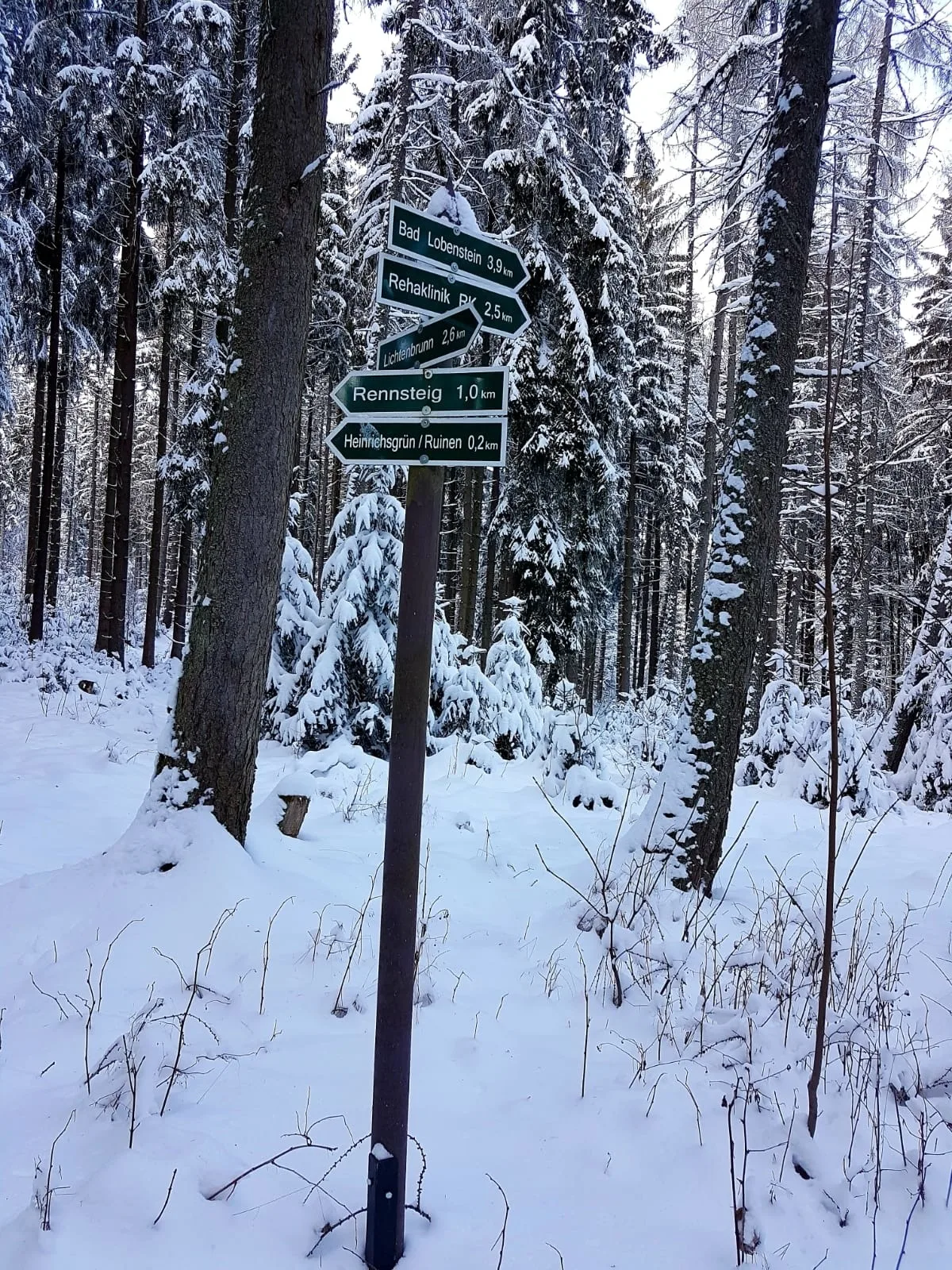 Attraktive FeWo in Rosenthal am Rennsteig