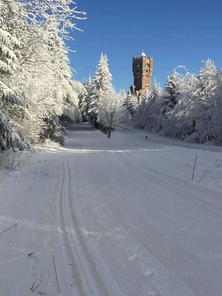Attraktive FeWo in Rosenthal am Rennsteig
