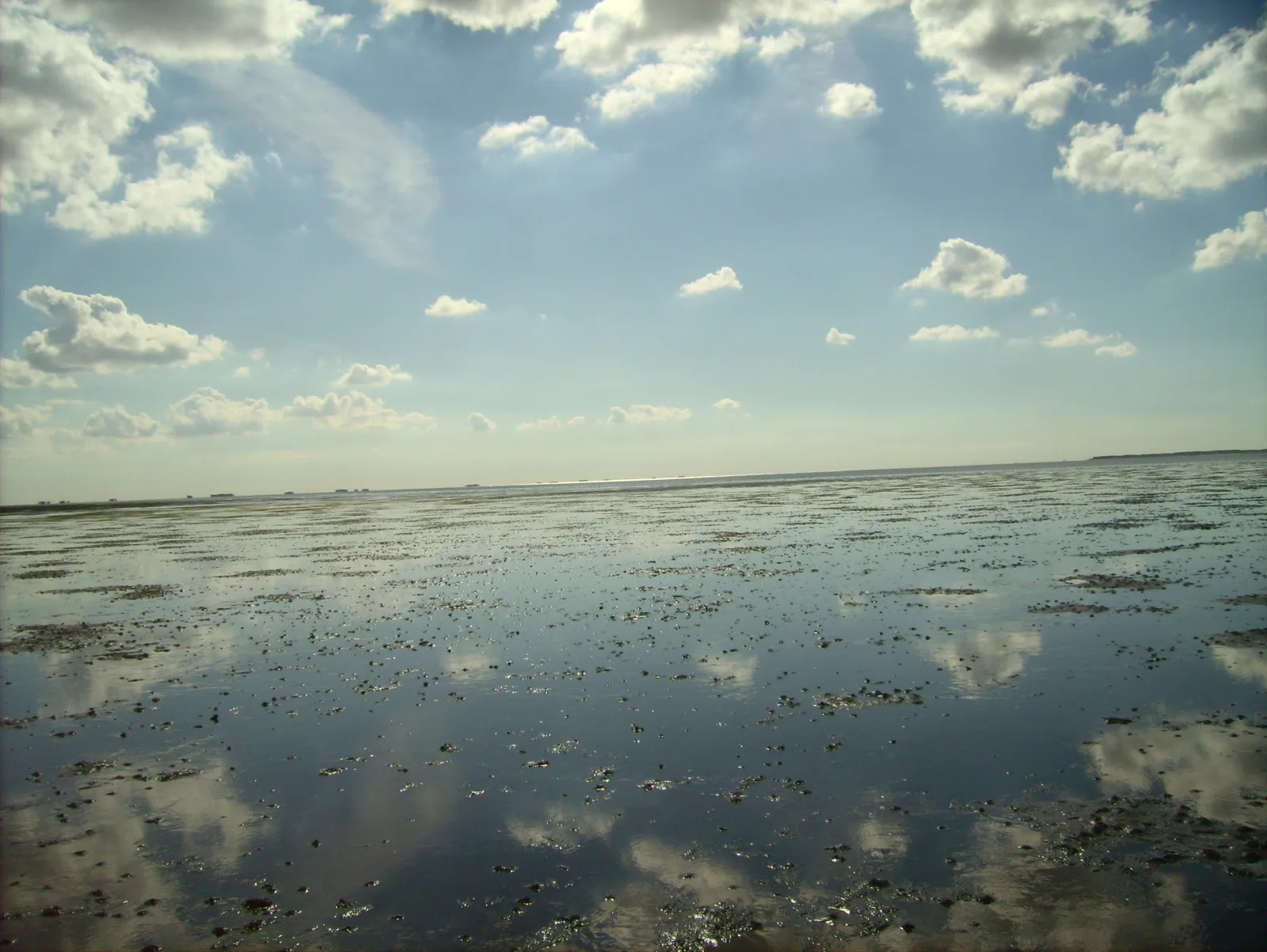 Haus Halligblick, Ferienwohnungen am Wattenmeer, Whg. Oland