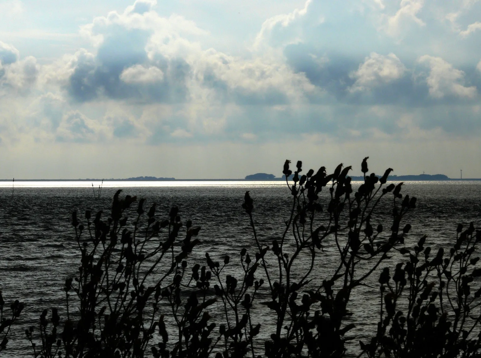 Haus Halligblick, Ferienwohnungen am Wattenmeer, Whg. Oland