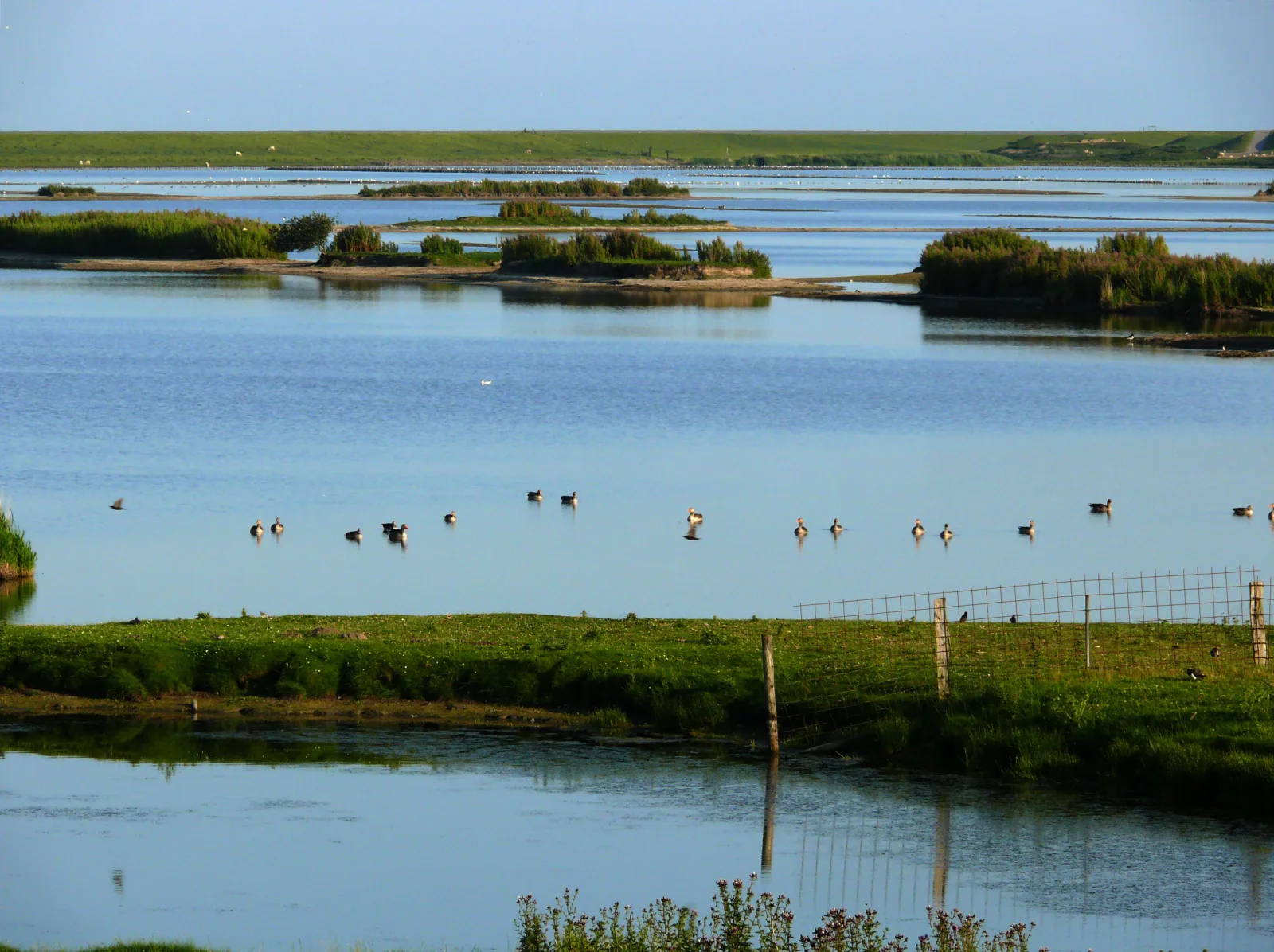 Haus Halligblick, Ferienwohnungen am Wattenmeer, Whg. Oland