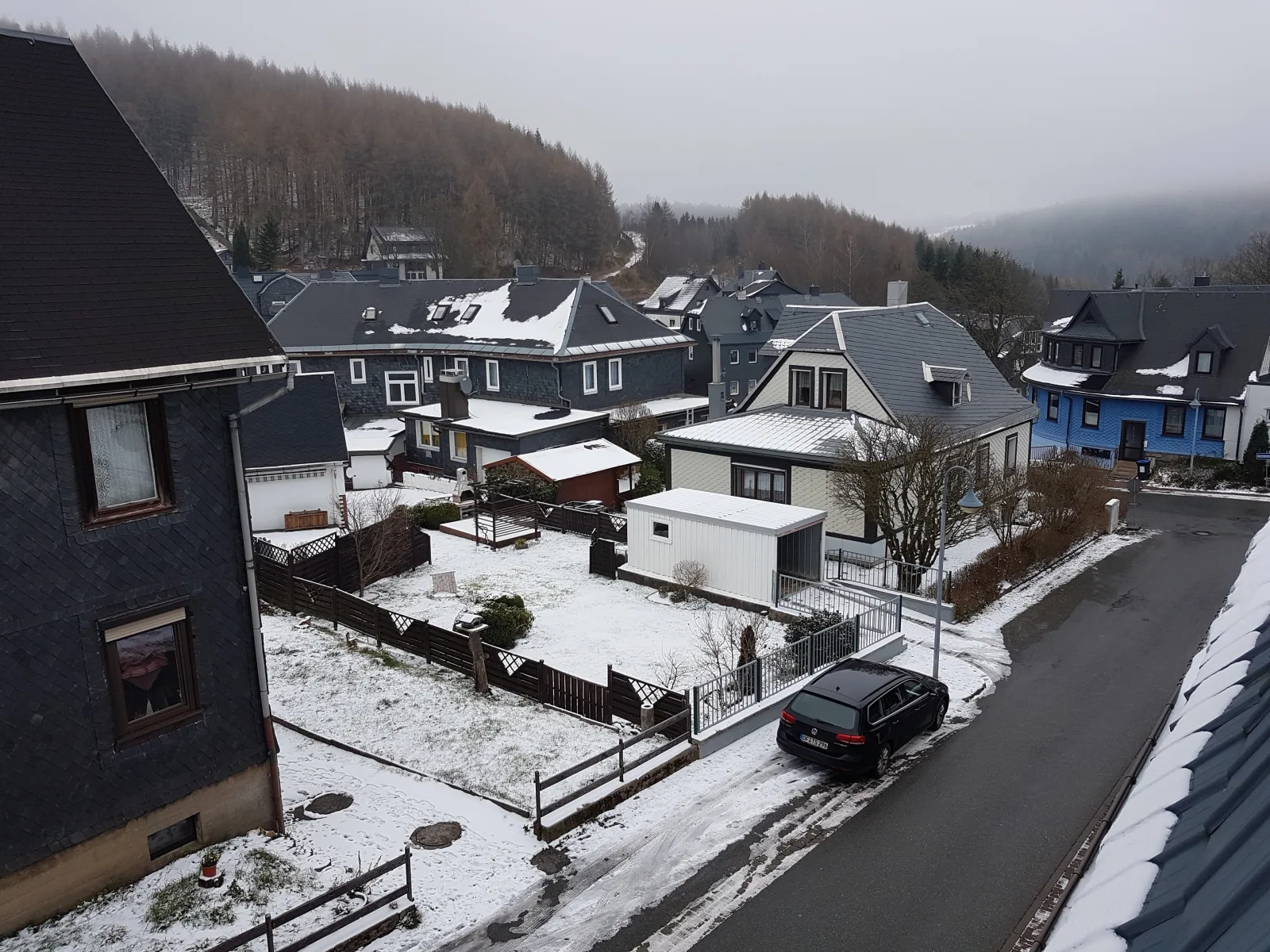 Waldblick