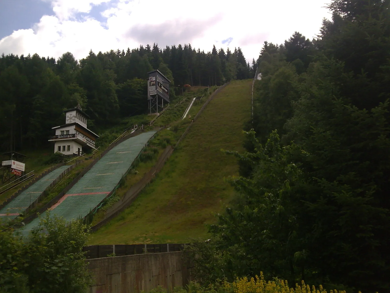 Waldblick