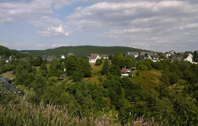 Waldblick