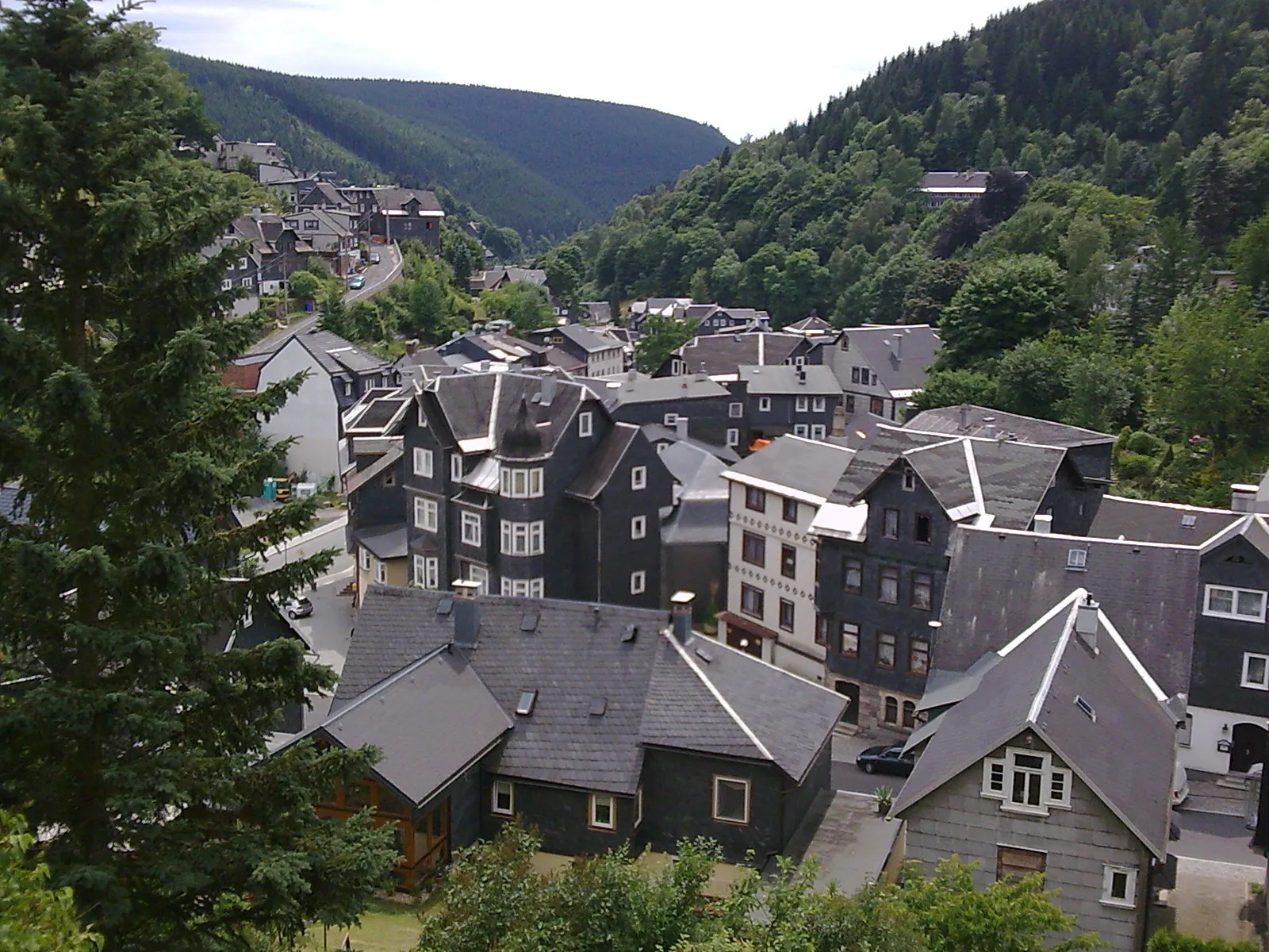 Waldblick