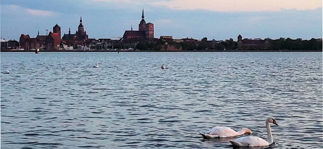Apartment 10 in Altefähr am Strelasund