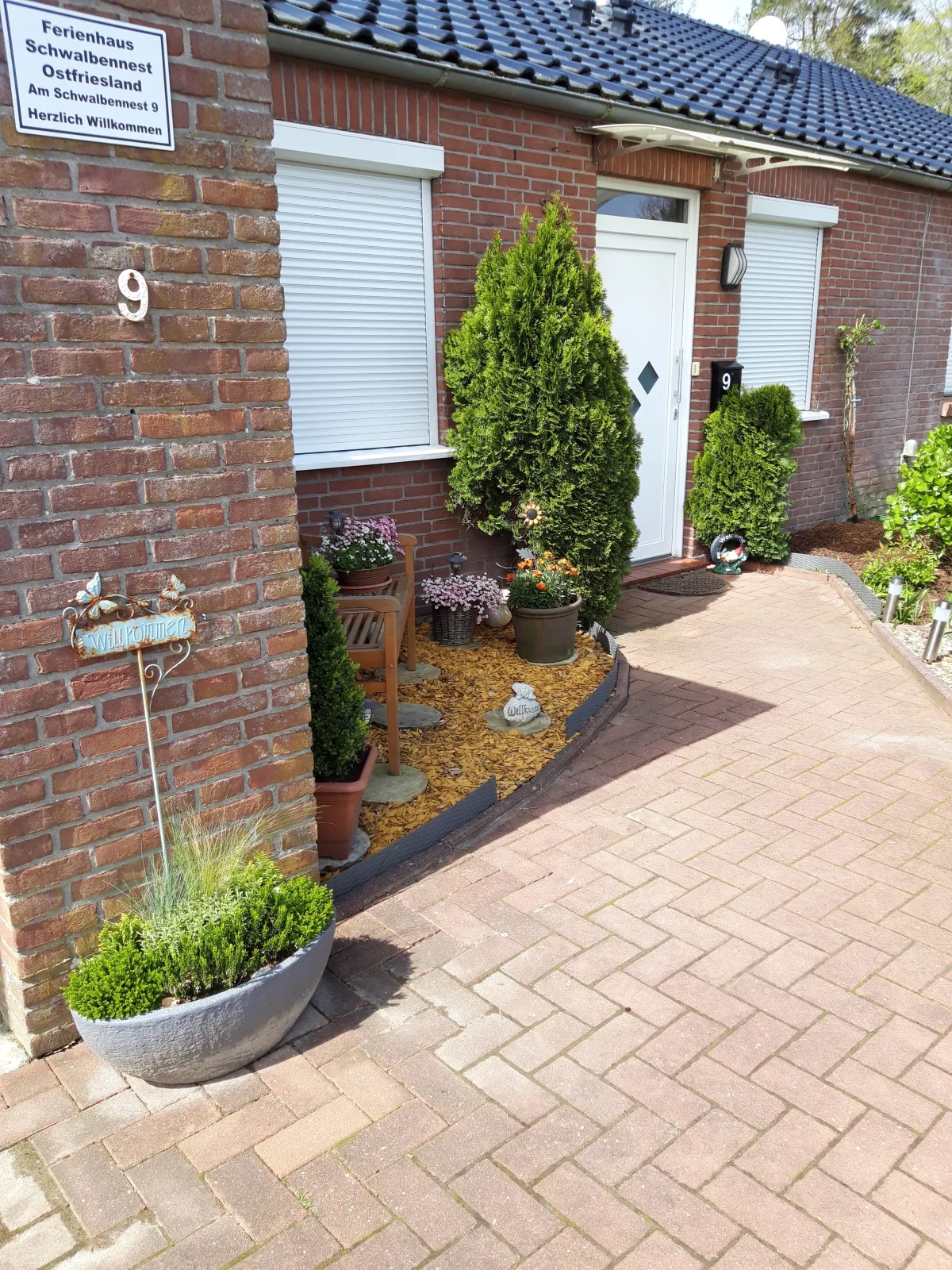 Schwalbennest Ostfriesland