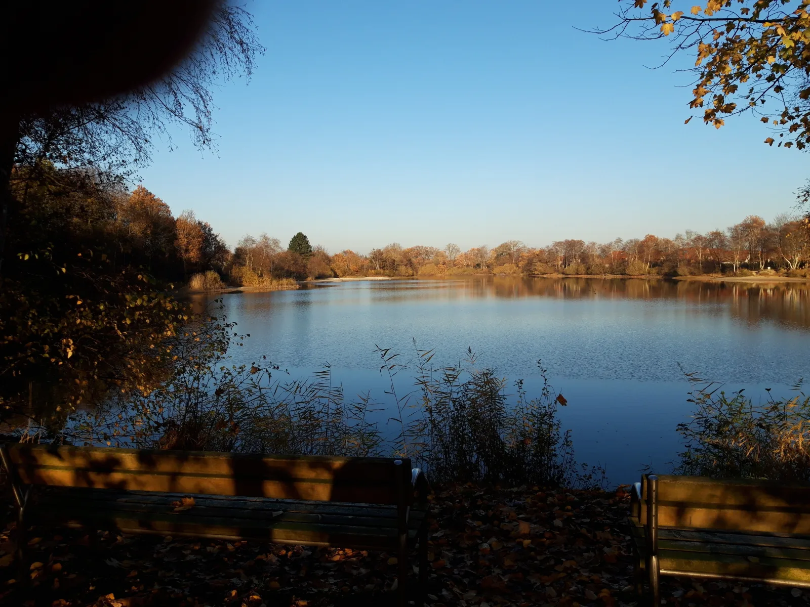 Schwalbennest Ostfriesland