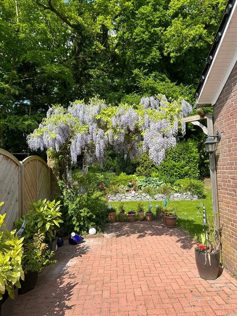 Schwalbennest Ostfriesland